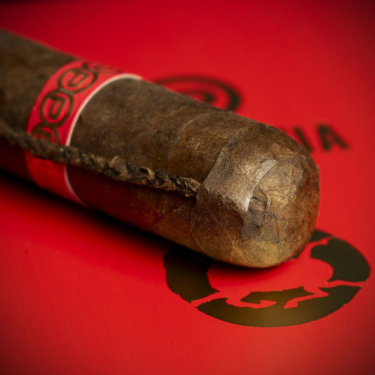Plascencia Year of the Horse Ltd. Edition Cigar - Single