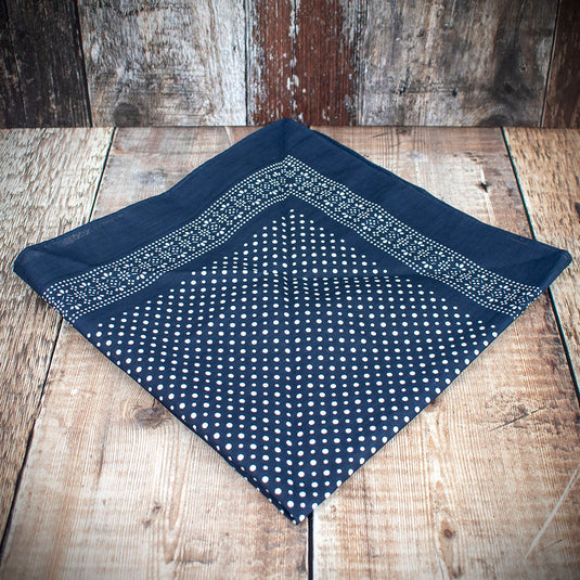 Snuff Handkerchief | Blue Patterned Border & Polka Dots