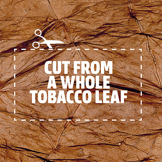 OUTER OF 10 - Al Capone Mixx Tobacco Leaf