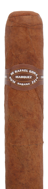 Rafael Gonzalez Coronas de Lonsdales Cuban Cigar - Single