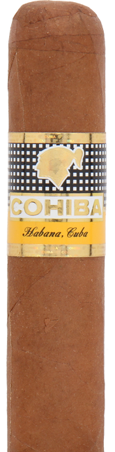 Cohiba Robustos Cuban Cigar - Single