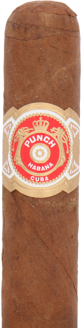 Punch Short de Punch Cuban Cigar - Single