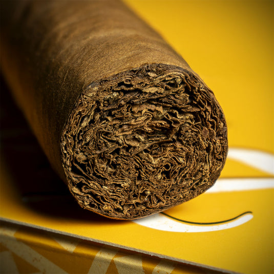 Pack of 5 - Zino Nicaragua Robusto Cigars