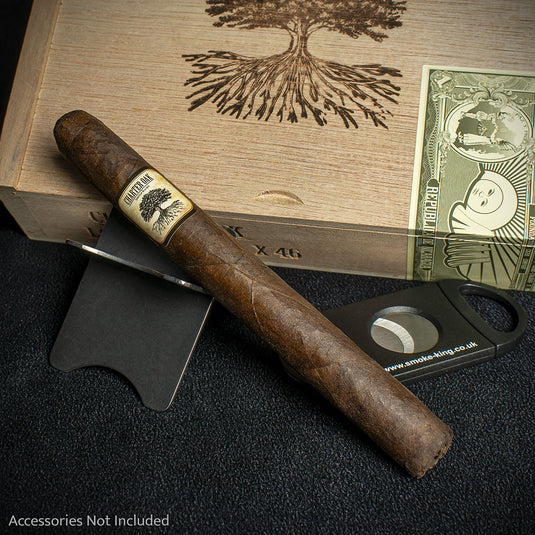 Foundation Cigars Charter Oak Connecticut Broadleaf Lonsdale