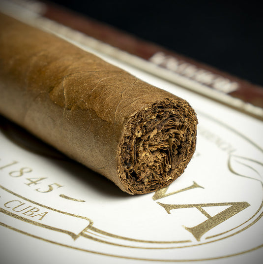 Vegas Robaina Famosos Cuban Cigar