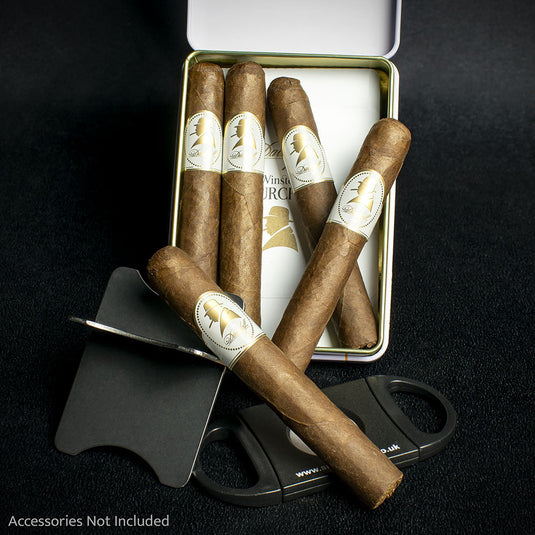 Single - Davidoff Winston Churchill The Raconteur Petit Panatela Cigar