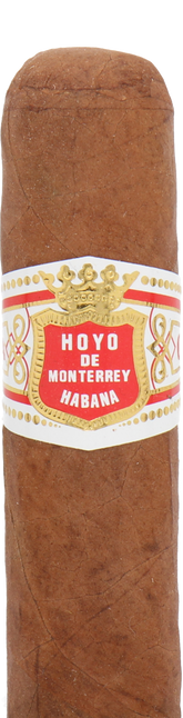 Hoyo De Monterrey Petit Robusto Cuban Cigar - Single