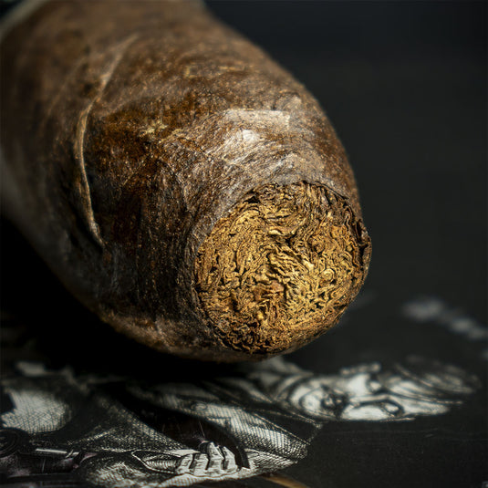 Gurkha Ghost Spook Short XO Cigar - Single