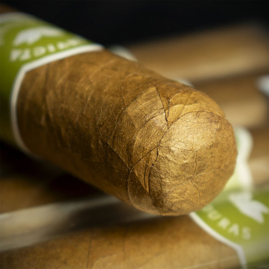 La Invicta Honduran Robusto Cigars - Bundle of 25