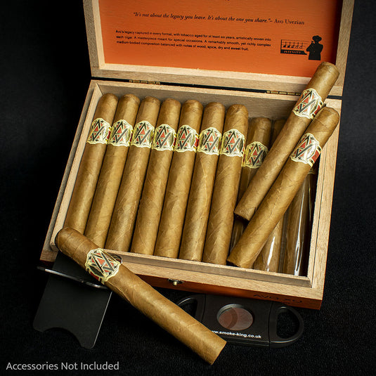 AVO XO Notturno Corona Cigar - Single