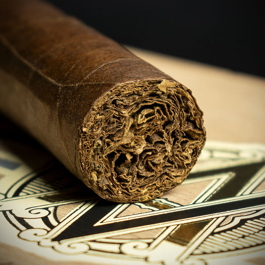 AVO Dominican Classic Robusto Cigars - Box of 20