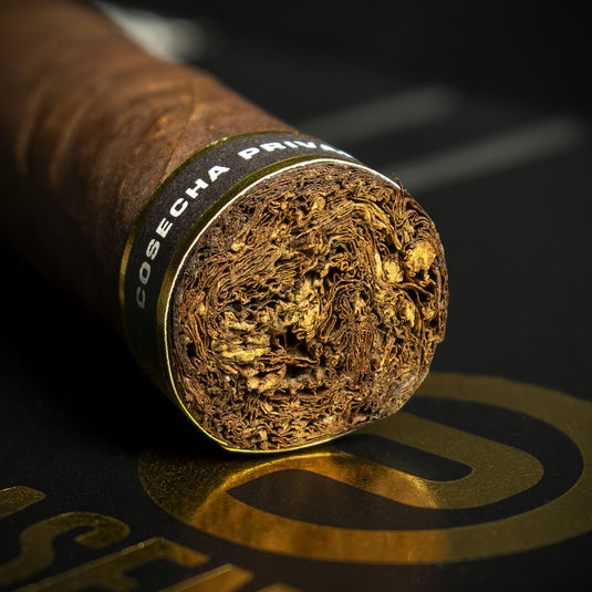Plasencia Cosecha 151 La Tradicion Toro Cigar - Single
