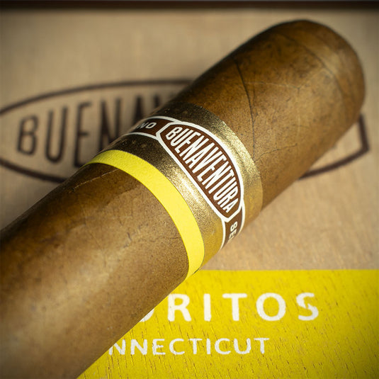 Curivari Buenaventura Favoritos Connecticut Cigars - Box of 20