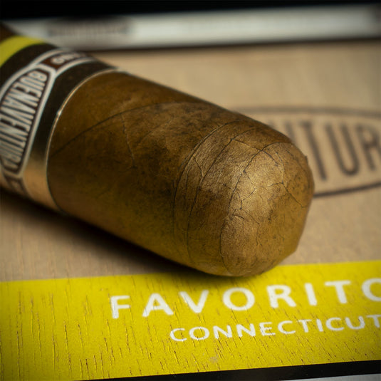 Curivari Buenaventura Favoritos Connecticut Cigars - Box of 20