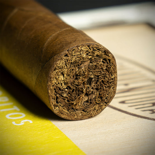 Curivari Buenaventura Favoritos Connecticut Cigar - Single