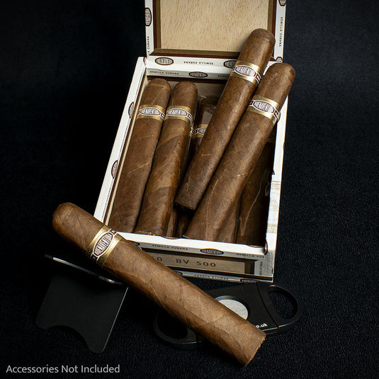Curivari Buenaventura BV 500 Nicaraguan Robusto Cigar - Single