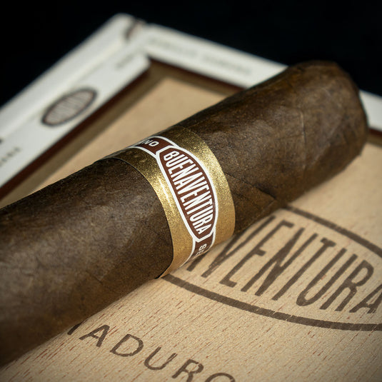 Curivari Buenaventura BV 500 Nicaraguan Maduro Robusto Cigars - Box of 10