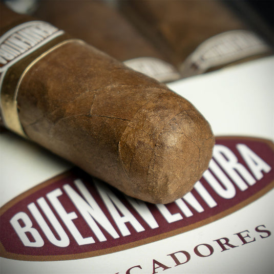 Curivari Buenaventura Picadores 50 Robusto Cigar - Bundle of 10