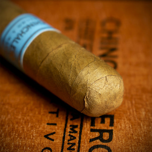 Chinchalero Esportivo Cigar - Single