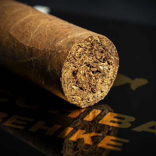 Cohiba Behike 54 Cuban Cigars - Box of 10