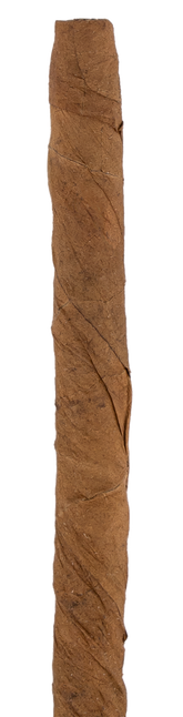 Cohiba Club Cuban Cigar - Single