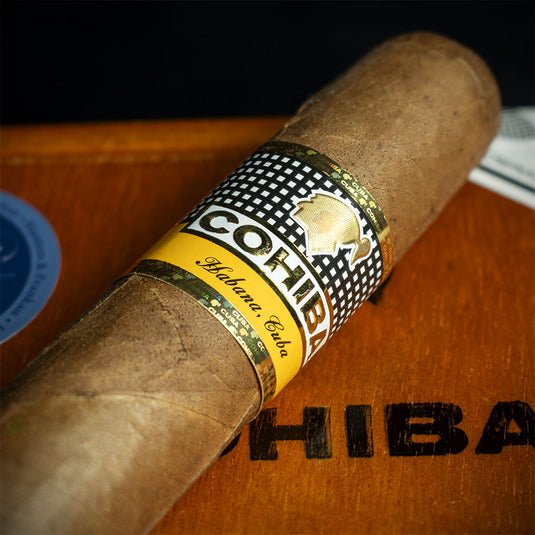 Cohiba Robustos Cuban Cigar - Single