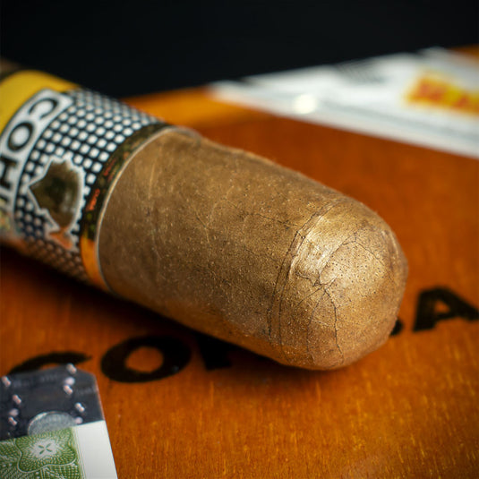 Cohiba Robustos Cuban Cigar - Single