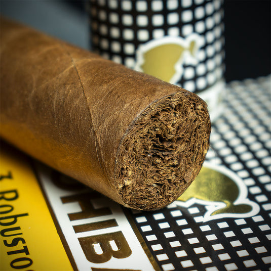 Cohiba Robustos Tubos Cuban Cigar - Single
