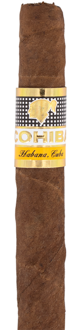 Cohiba Wide Short Cuban Cigar - Single