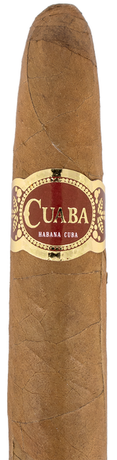 Cuaba Distinguidos Cuban Cigar - Single