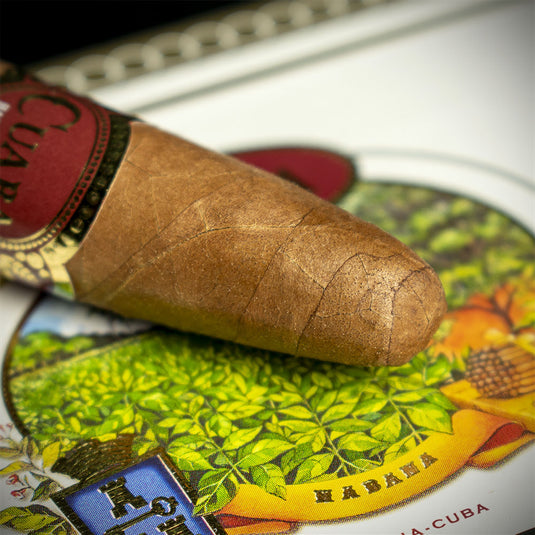 Cuaba Divinos Cuban Cigar - Single