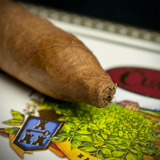 Cuaba Divinos Cuban Cigar - Single