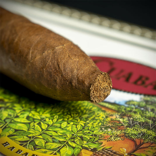 Cuaba Tradicionales Cuban Cigars - Box of 25