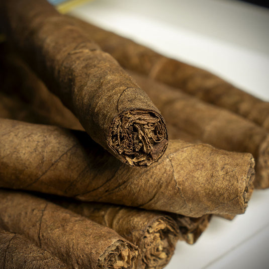 10 Pack - Davidoff Mini Gold Cigarillos