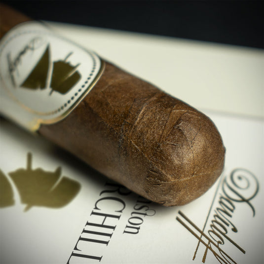 Davidoff Winston Churchill Artist Petit Corona Cigars - Pack of 5