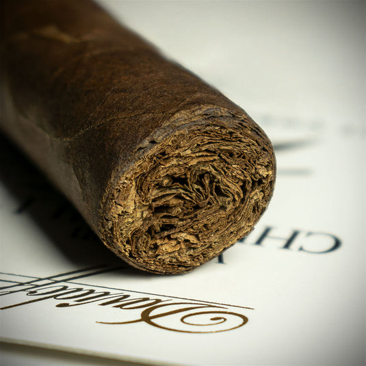 Davidoff Winston Churchill Artist Petit Corona Cigars - Pack of 5