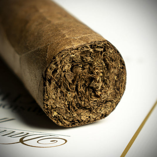 Davidoff Winston Churchill Statesman Robusto Cigars - Pack of 4