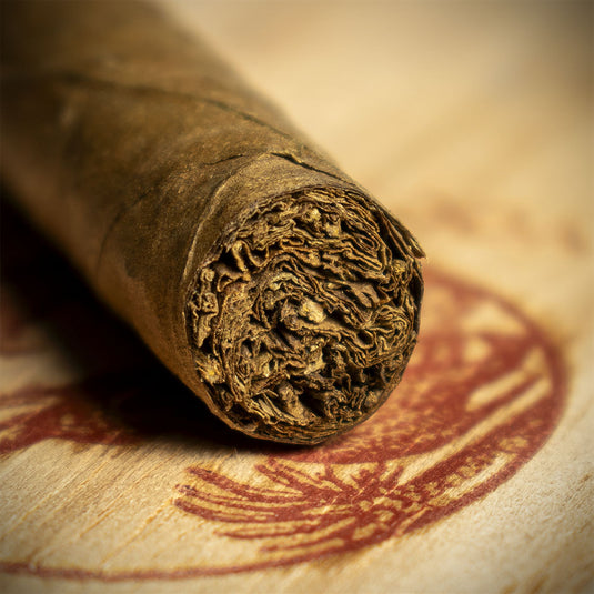 De Olifant Dutch VOC XO Cigars - Box of 10