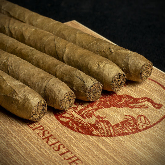 De Olifant Dutch Scheepskitje Cigars - Box of 10