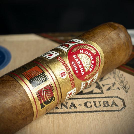 H. Upmann Connoisseur B Cuban Cigar - Single