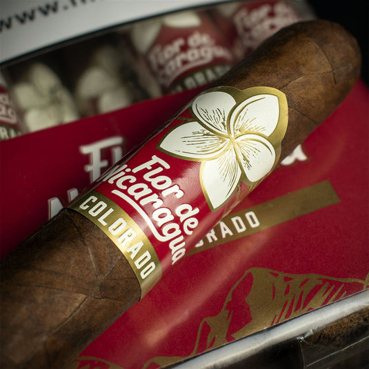 Flor de Nicaragua Colorado Robusto Cigar - Single