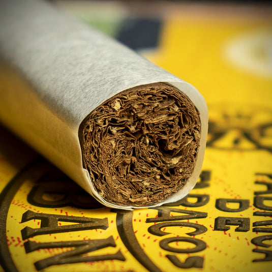 Fonseca Cosacos Cuban Cigar - Single