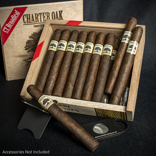 Foundation Cigars Charter Oak Connecticut Broadleaf Petite Corona Cigar - Single