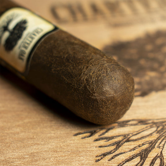 Foundation Cigars Charter Oak Connecticut Broadleaf Toro Cigar - Single