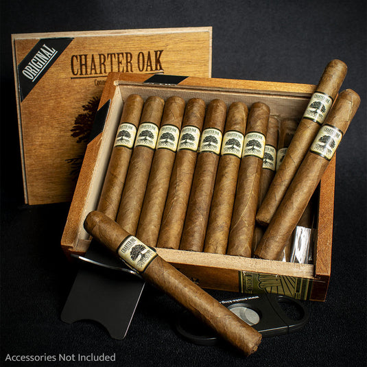 Foundation Cigars Charter Oak Original Petit Corona - Single
