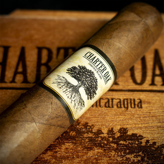 Foundation Cigars Charter Oak Original Petit Corona - Single