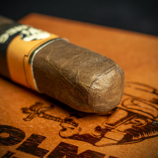 Foundation Cigars Olmec Claro Nicaraguan Robusto Cigar - Single