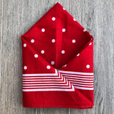 Snuff Handkerchief | Cotton Red Stripes & Polka Dots
