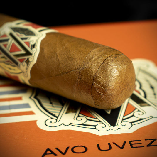 AVO XOIntermzzo Robusto Cigar - Single