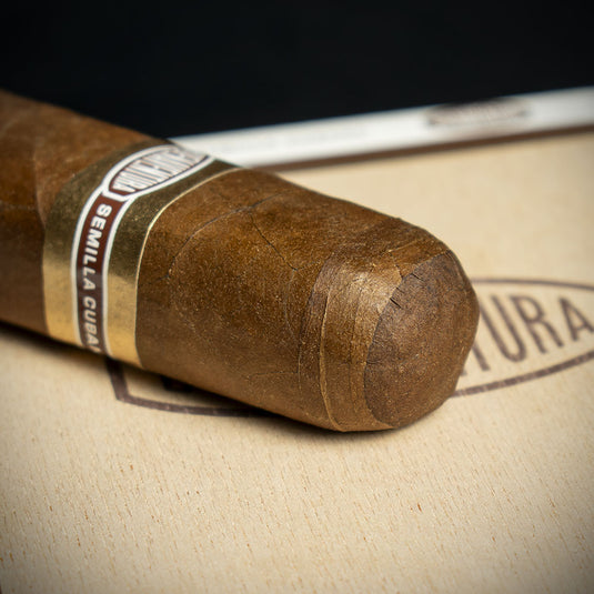 Curivari Buenaventura BV 600 Nicaraguan Toro Cigar - Single